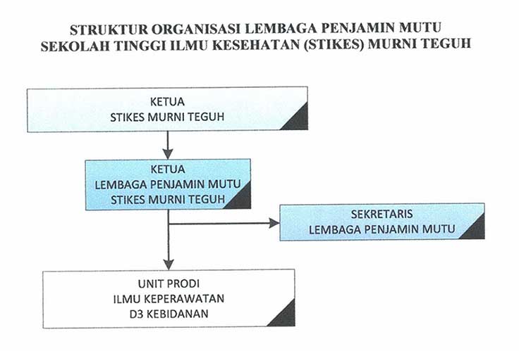 struktur organisasi lpm